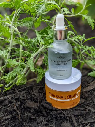 Vita Snail Cream + Hyaluronic 6000 ampoule — 4점을 준 리뷰어가 2021년 8월 올린 사용 사진