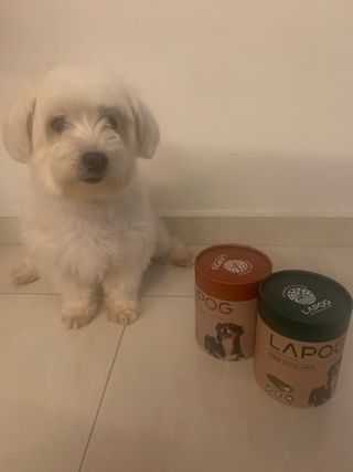 Karenw님이 올린 리뷰 사진 2