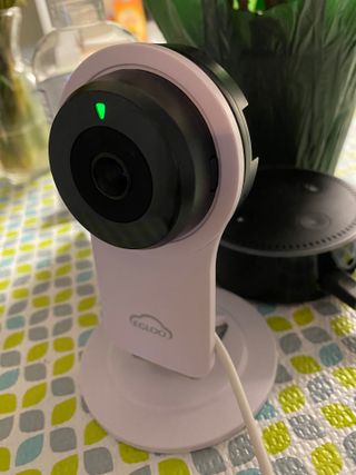 온습도 모니터와 스마트 리모컨이 탑재된 EGLOO cam S4 1080P Wi-Fi 스마트 카메라 — 4.5점을 준 리뷰어가 2021년 5월 올린 사용 사진