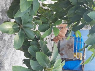 _meow1210_님이 올린 리뷰 사진 4