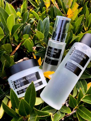 Black Snail Collagen Trio Set [Toner, Serum and Cream] — 5점을 준 리뷰어가 2021년 9월 올린 사용 사진