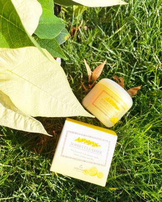 [THE SKIN HOUSE] Lemon Sorbet Cleanser, Aloe Soothing Vitamin Gel — 5점을 준 리뷰어가 2021년 12월 올린 사용 사진