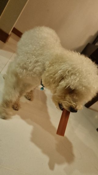 Takeda7268님이 올린 리뷰 사진 2