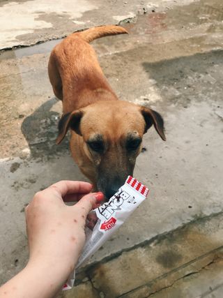 ThiHoang님이 올린 리뷰 사진 3