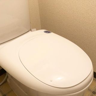エミリ（フォロバ100님이 올린 리뷰 사진 1