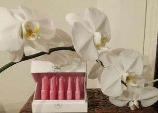 DR81Luvskin2much님이 올린 리뷰 사진 1