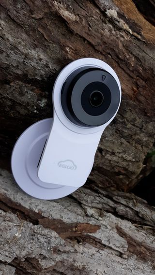 온습도 모니터와 스마트 리모컨이 탑재된 EGLOO cam S4 1080P Wi-Fi 스마트 카메라 — 4점을 준 리뷰어가 2021년 6월 올린 사용 사진