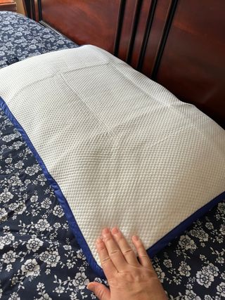 (Blue) dearNa Travel Pillowcase Easy-to-Attach Washable Pillow Cover for Skincare Protection — 5점을 준 리뷰어가 2024년 11월 올린 사용 사진