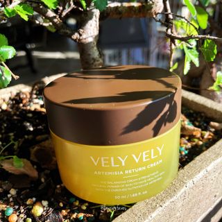 VELY VELY Artemisia Return Cream — 4.5점을 준 리뷰어가 2021년 4월 올린 사용 사진