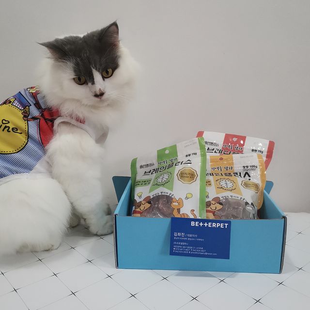 [BETTERPET] GETDOG 맛있는 개밥 리뷰 사진