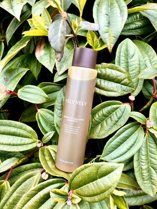 VELY VELY Artemisia Balance Essence — 5점을 준 리뷰어가 2021년 4월 올린 사용 사진
