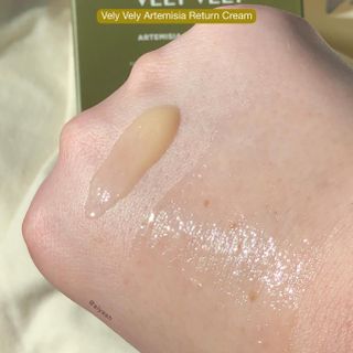 VELY VELY Artemisia Return Cream — 5점을 준 리뷰어가 2021년 4월 올린 사용 사진