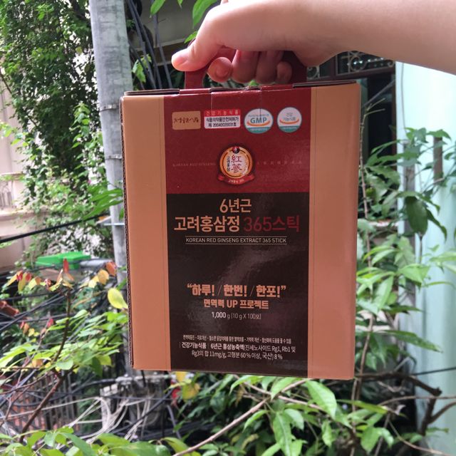 6년근 고려홍삼정 365스틱 리뷰 사진