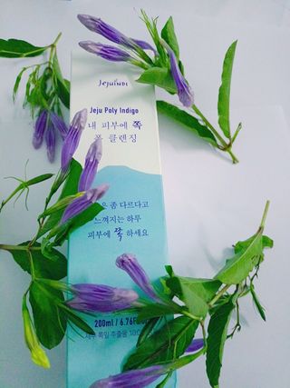 제주인디 폴리인디고 내 피부에 쪽 폼클렌징 — 5점을 준 리뷰어가 2021년 9월 올린 사용 사진