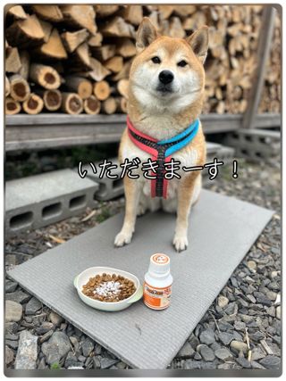 zoe님이 올린 리뷰 사진 2