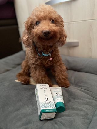 cherylpang님이 올린 리뷰 사진 2