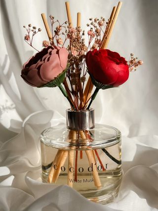 코코도르 디퓨저 120ml, 200ml, 500ml — 5점을 준 리뷰어가 2022년 1월 올린 사용 사진