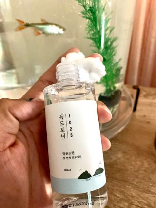 Sheilahdez30님이 올린 리뷰 사진 1