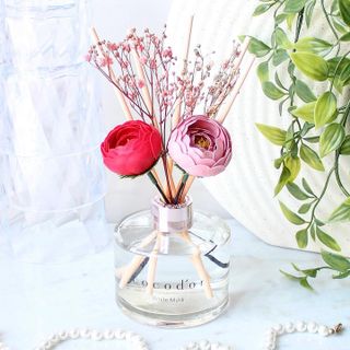 코코도르 디퓨저 120ml, 200ml, 500ml — 5점을 준 리뷰어가 2022년 2월 올린 사용 사진