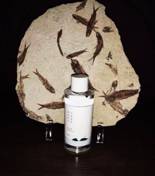 SkincareRocksMyWorld님이 올린 리뷰 사진 1